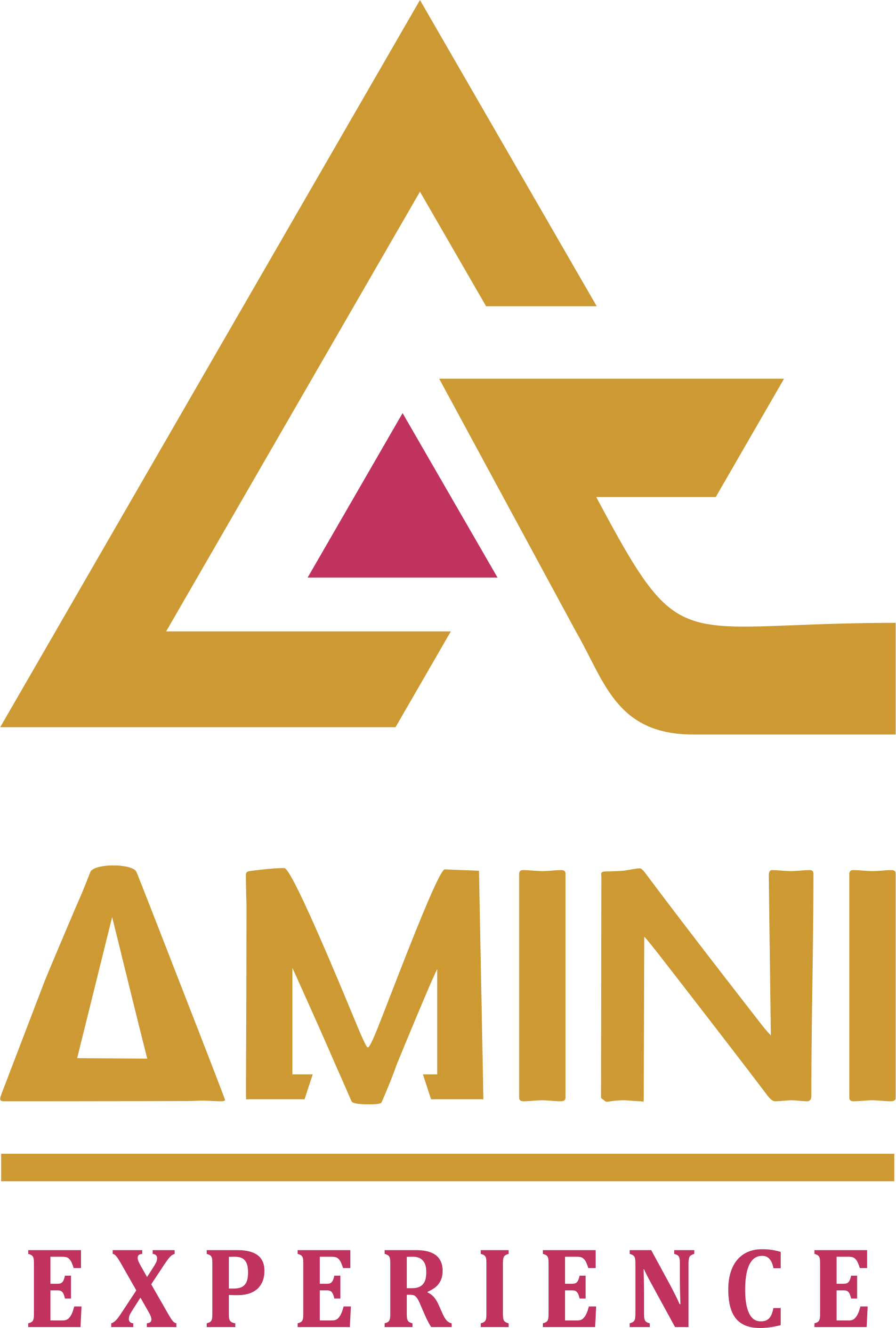 Amini Experience